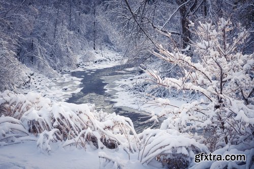 Collection of winter forest snow tree sunrise snowfall 25 HQ Jpeg