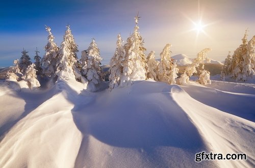 Collection of winter forest snow tree sunrise snowfall 25 HQ Jpeg