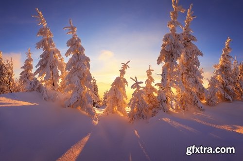 Collection of winter forest snow tree sunrise snowfall 25 HQ Jpeg