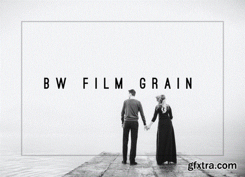 CM - Black & White Film Grain LR Preset 996558