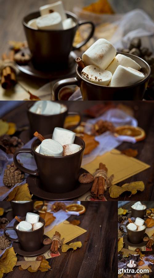 Cup of Hot Chocolate, Coffee with Marshmallow
