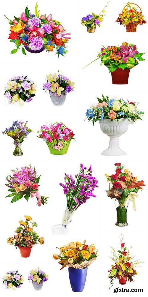 Colorful Flower Bouquet Isolated