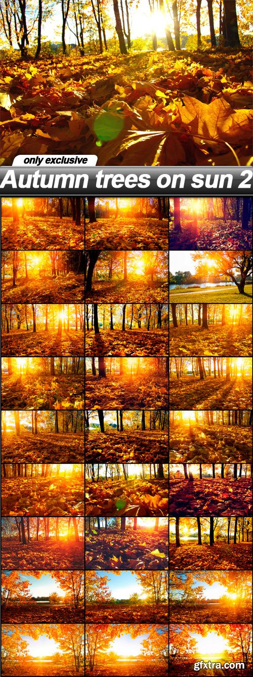 Autumn trees on sun 2 - 27 UHQ JPEG