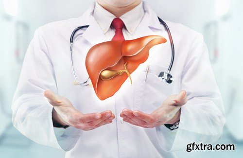 Liver, 10 UHQ JPEG