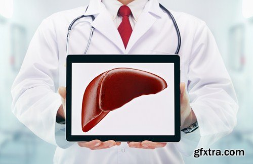 Liver, 10 UHQ JPEG