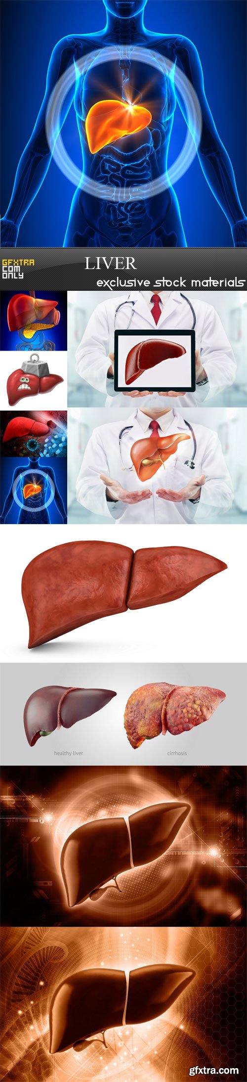 Liver, 10 UHQ JPEG