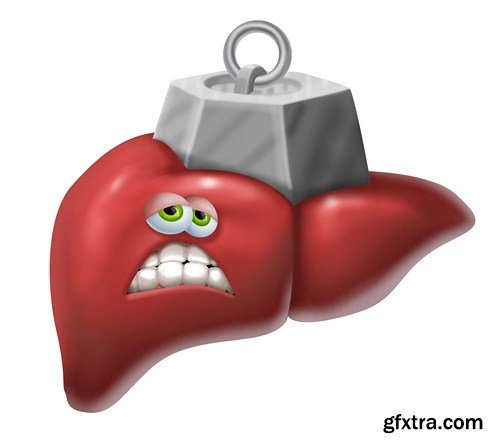 Liver, 10 UHQ JPEG