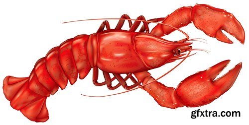 Lobster vector, 11 х EPS