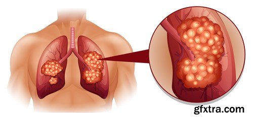 Structure and Human Organs 4 - 18xEPS