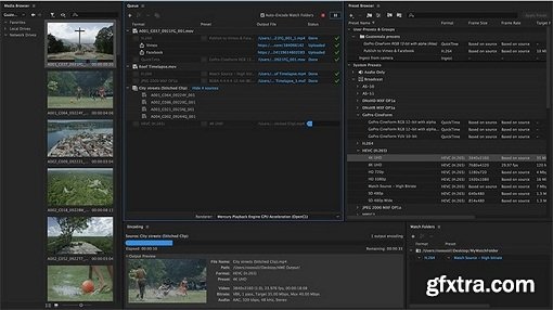 Adobe Media Encoder CC 2017 v11.0.0 Multilingual (Mac OS X)