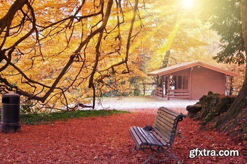 Beautiful autumn forest and landscape - 25xUHQ JPEG Photo Stock