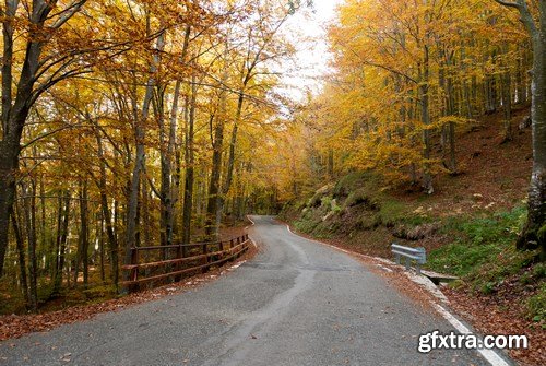 Beautiful autumn forest and landscape - 25xUHQ JPEG Photo Stock