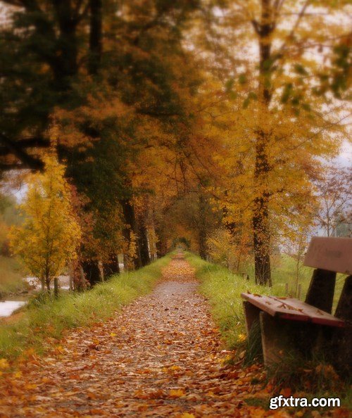 Beautiful autumn forest and landscape - 25xUHQ JPEG Photo Stock