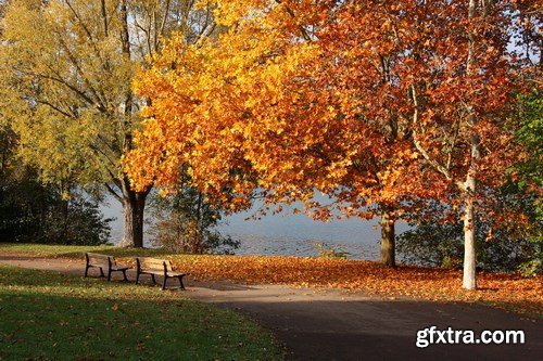 Beautiful autumn forest and landscape - 25xUHQ JPEG Photo Stock