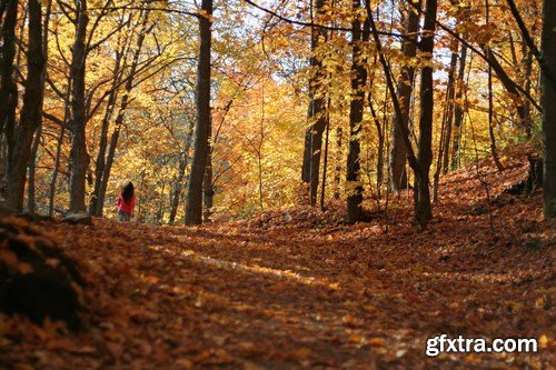 Beautiful autumn forest and landscape - 25xUHQ JPEG Photo Stock