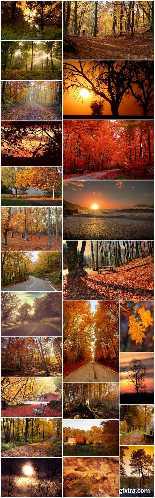 Beautiful autumn forest and landscape - 25xUHQ JPEG Photo Stock