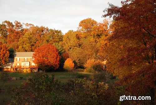 Beautiful autumn forest and landscape - 25xUHQ JPEG Photo Stock