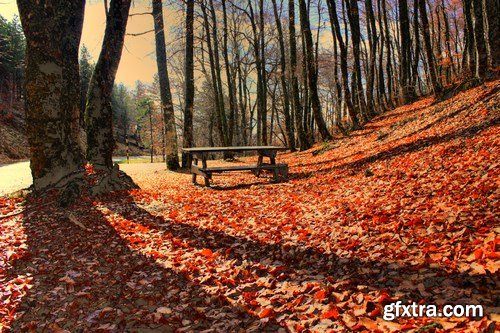 Beautiful autumn forest and landscape - 25xUHQ JPEG Photo Stock