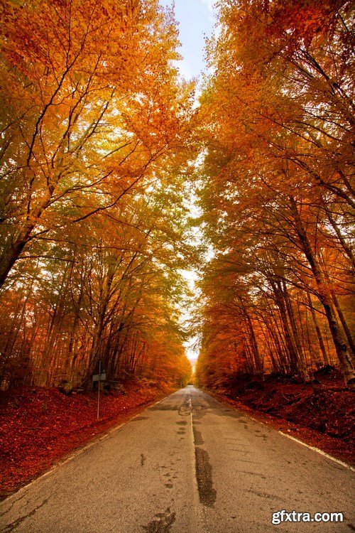 Beautiful autumn forest and landscape - 25xUHQ JPEG Photo Stock