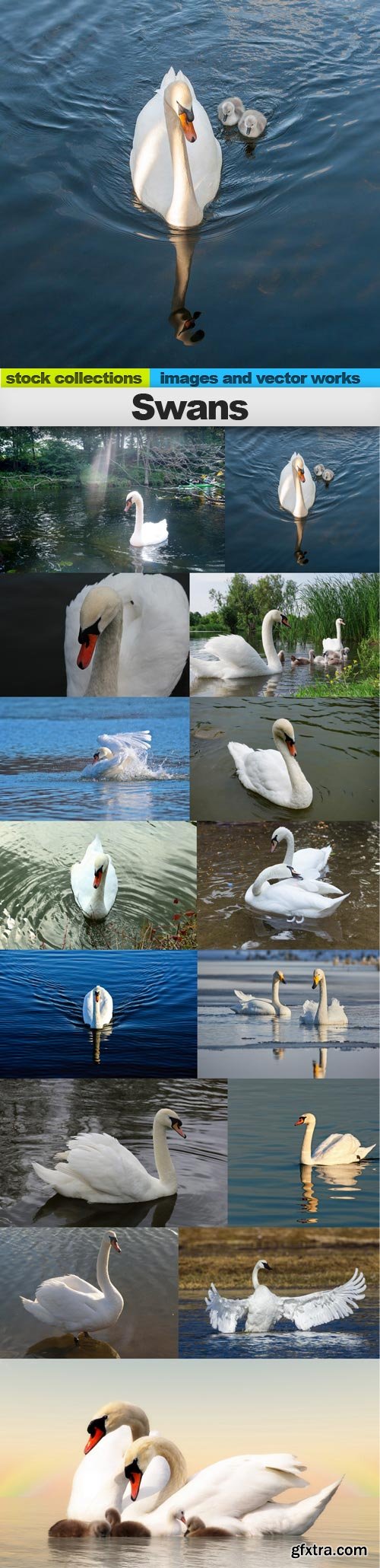 Swans, 15 x UHQ JPEG