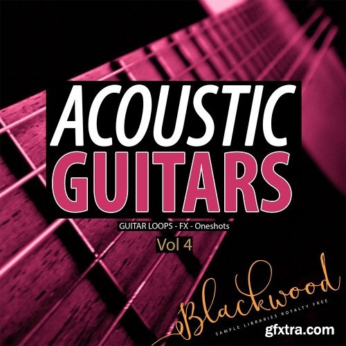 Blackwood Samples Acoustic Guitars 4 WAV-DISCOVER