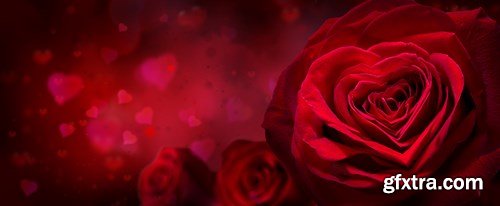 Beautiful Roses 3 - 20xUHQ JPEG Photo Stock