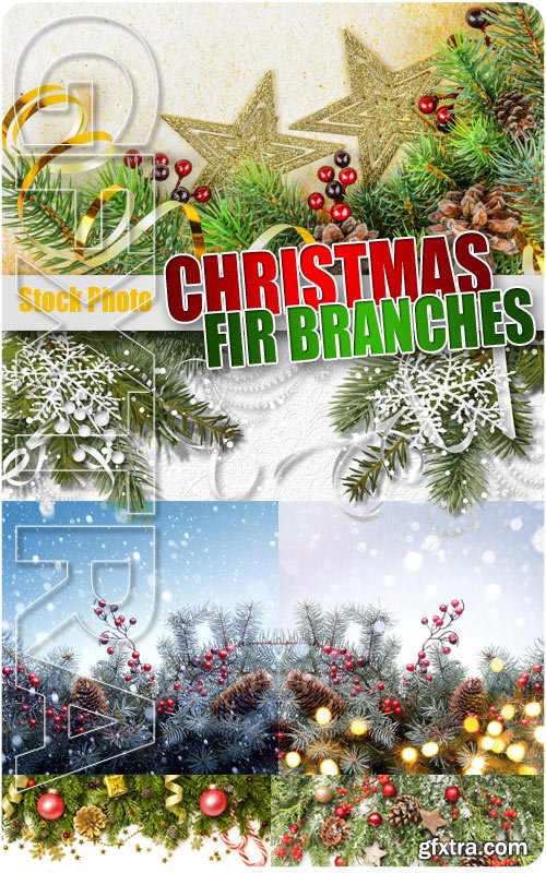 Christmas Fir branches 2 - UHQ Stock Photo