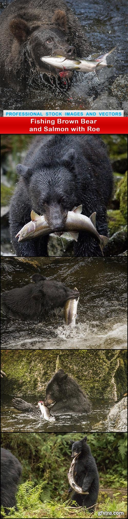 Fishing Brown Bear and Salmon with Roe - 5 UHQ JPEG