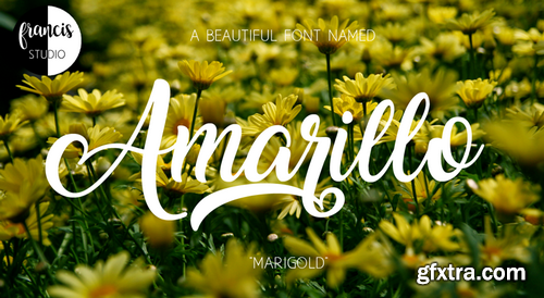 Amarillo Font