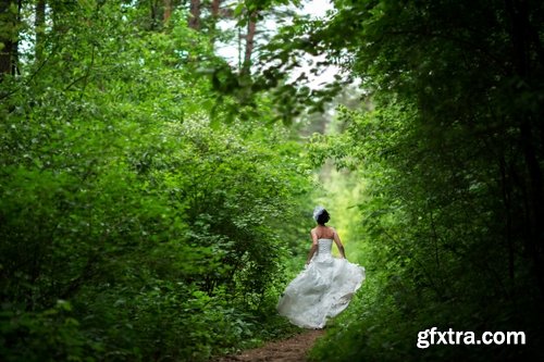 Collection of the newlyweds in the woods on the nature of the bride and groom in love wedding couple 25 HQ Jpeg