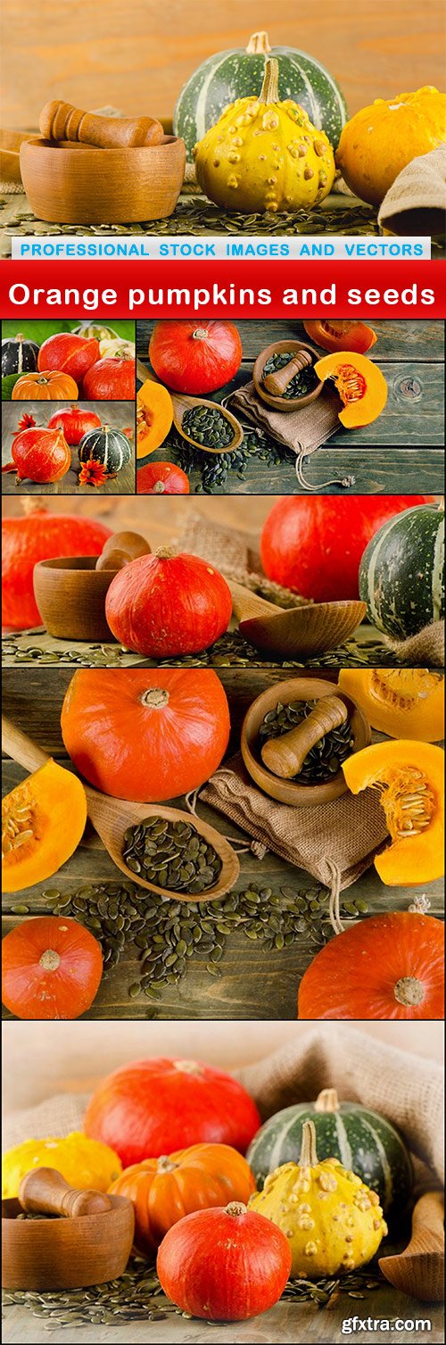 Orange pumpkins and seeds - 7 UHQ JPEG