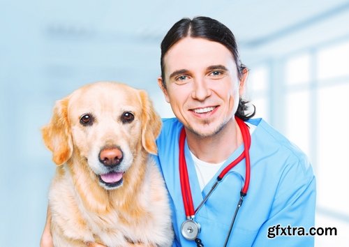 Collection pet veterinarian veterinary clinic treatment vaccination vaccine 25 HQ Jpeg