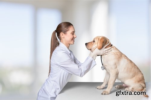 Collection pet veterinarian veterinary clinic treatment vaccination vaccine 25 HQ Jpeg