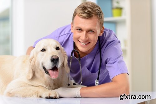 Collection pet veterinarian veterinary clinic treatment vaccination vaccine 25 HQ Jpeg