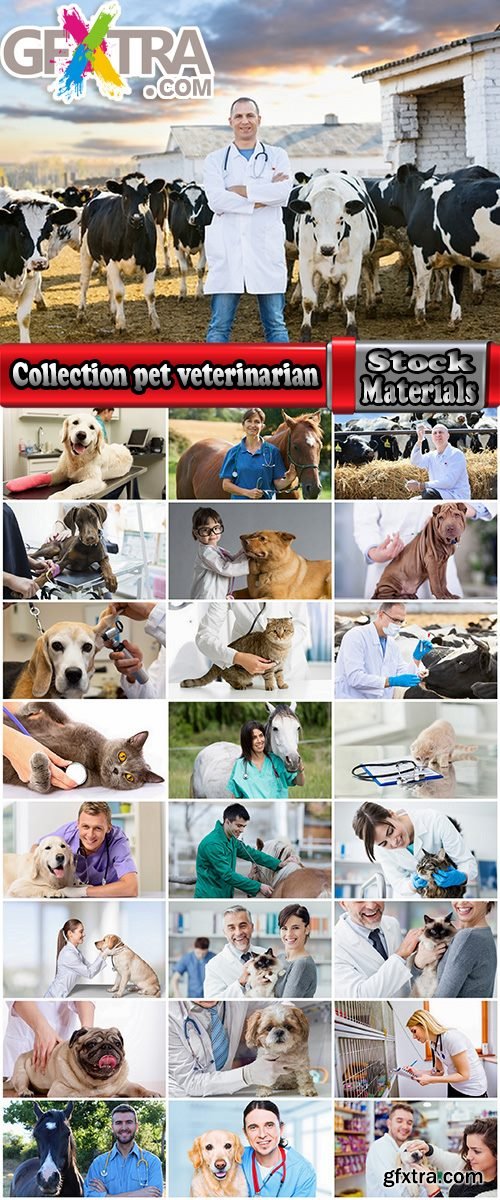 Collection pet veterinarian veterinary clinic treatment vaccination vaccine 25 HQ Jpeg