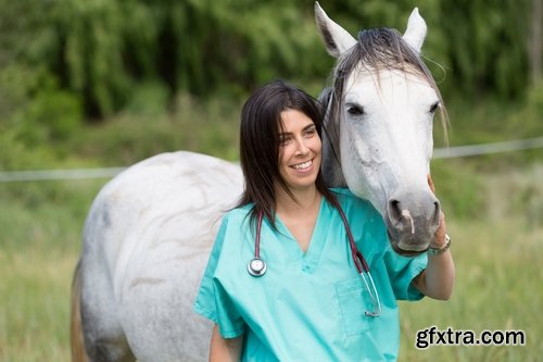 Collection pet veterinarian veterinary clinic treatment vaccination vaccine 25 HQ Jpeg