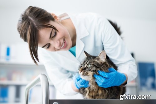 Collection pet veterinarian veterinary clinic treatment vaccination vaccine 25 HQ Jpeg