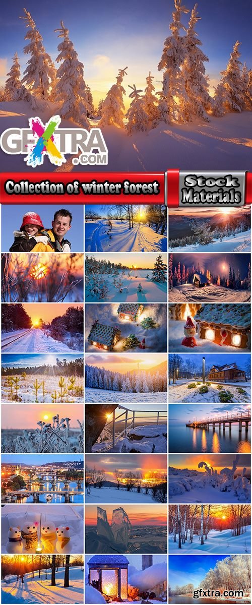 Collection of winter forest snow tree sunrise snowfall 3-25 HQ Jpeg