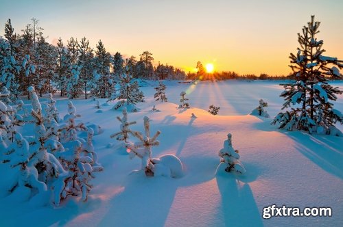 Collection of winter forest snow tree sunrise snowfall 3-25 HQ Jpeg