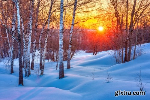 Collection of winter forest snow tree sunrise snowfall 3-25 HQ Jpeg