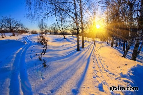 Collection of winter forest snow tree sunrise snowfall 3-25 HQ Jpeg