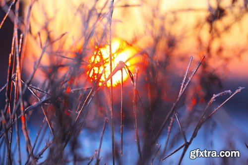 Collection of winter forest snow tree sunrise snowfall 3-25 HQ Jpeg