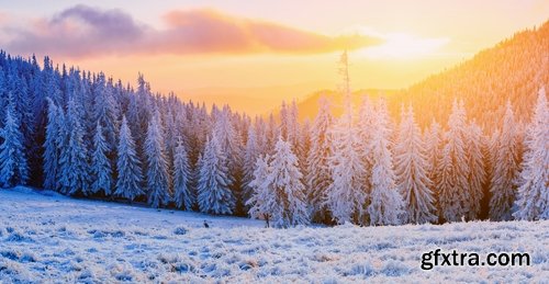 Collection of winter forest snow tree sunrise snowfall 3-25 HQ Jpeg