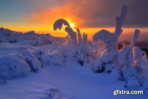 Collection of winter forest snow tree sunrise snowfall 3-25 HQ Jpeg