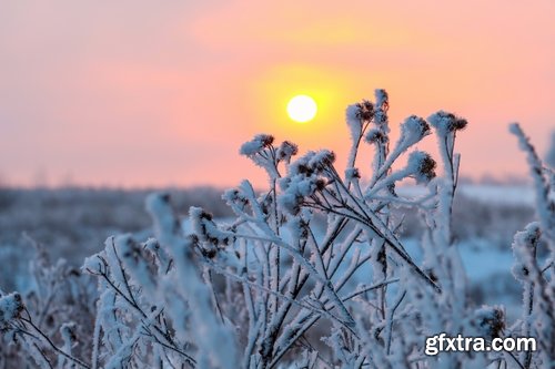 Collection of winter forest snow tree sunrise snowfall 3-25 HQ Jpeg