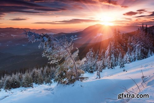 Collection of winter forest snow tree sunrise snowfall 3-25 HQ Jpeg