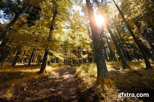 Beautiful autumn forest and landscape 2 - 25xUHQ JPEG Photo Stock