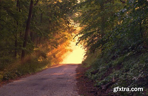 Beautiful autumn forest and landscape 2 - 25xUHQ JPEG Photo Stock