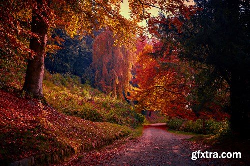 Beautiful autumn forest and landscape 2 - 25xUHQ JPEG Photo Stock