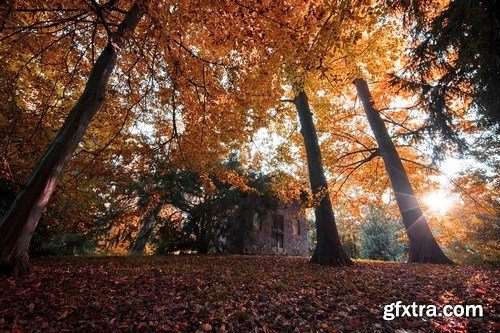 Beautiful autumn forest and landscape 2 - 25xUHQ JPEG Photo Stock